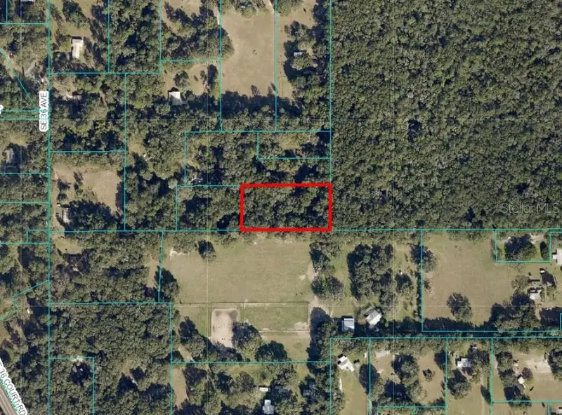 Undetermined, FL