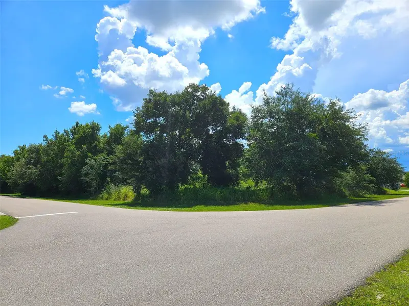 1394 Saxony Cir, FL
