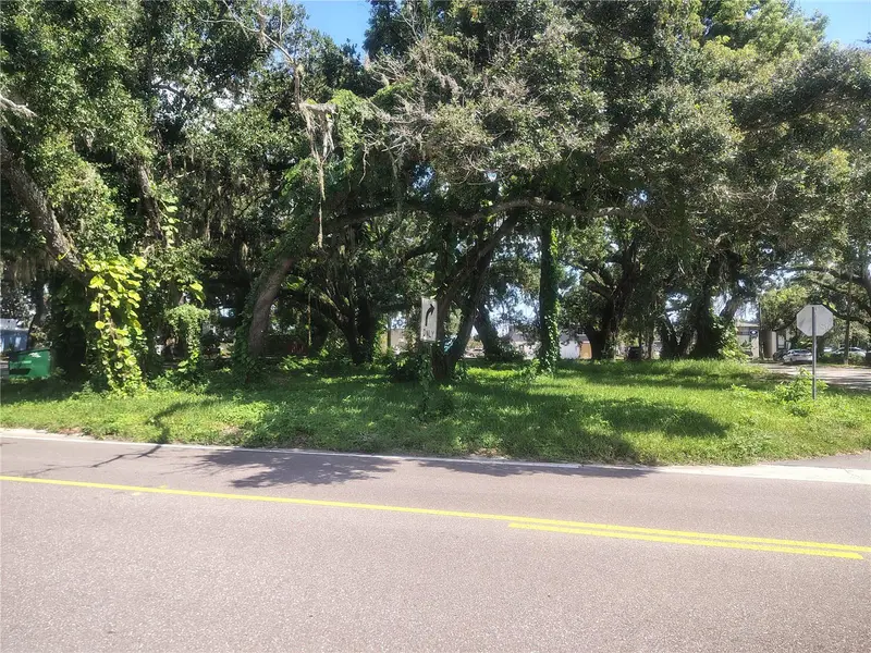 113 E Robertson St, FL
