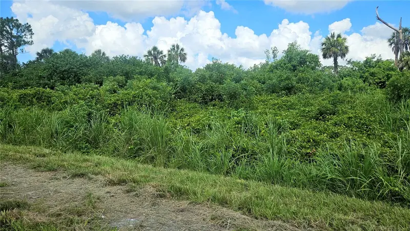 Custer Lot #25 Cir, FL