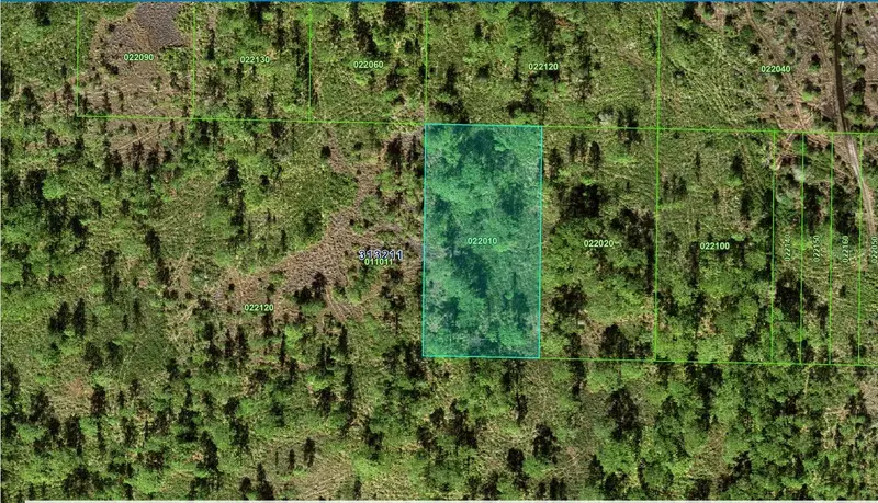 31-32-11-000000-022010 River Ranch Blvd, FL