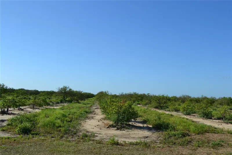 Garfield Nursery Rd, FL