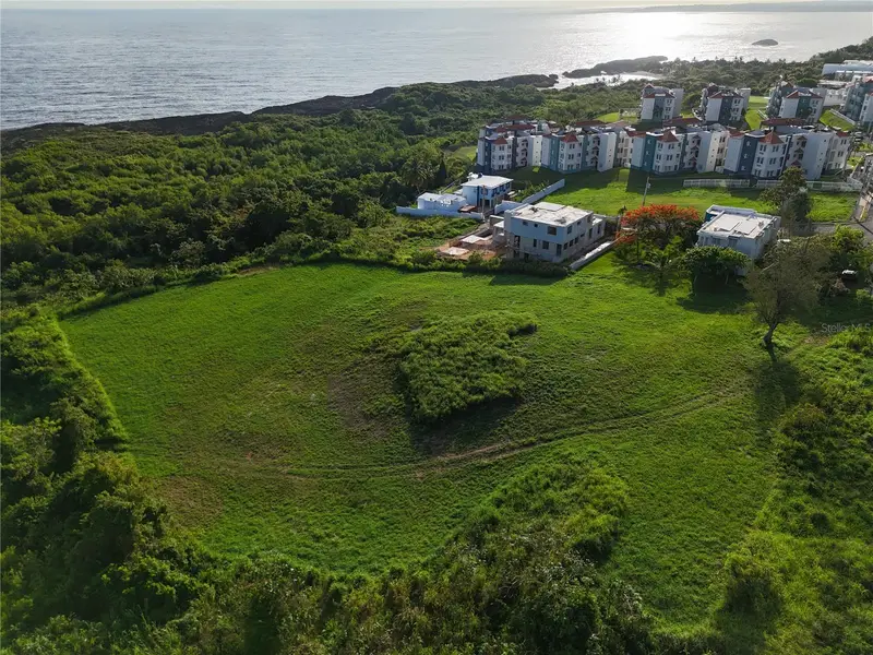 Lolita Natal, PR