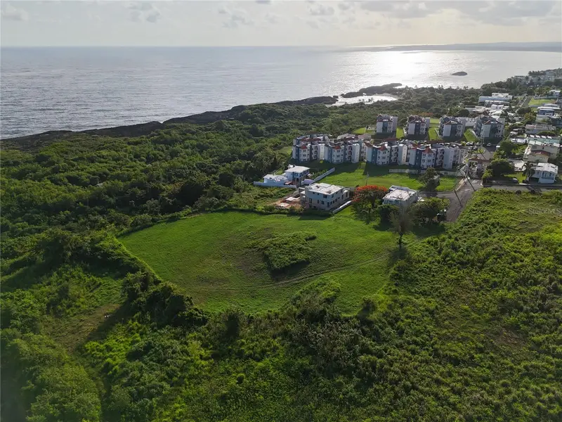 Lolita Natal, PR