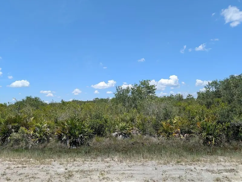 Sarasota Dr, FL