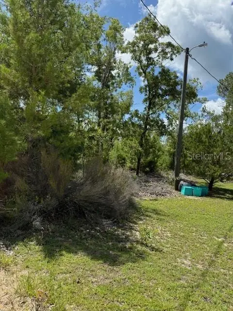 115 S Dakota St, FL