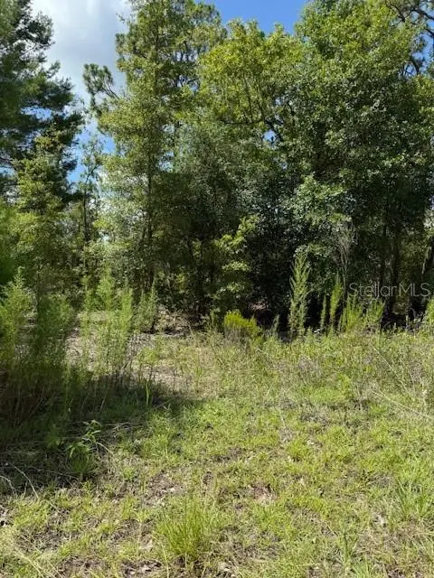 111 S Dakota St, FL