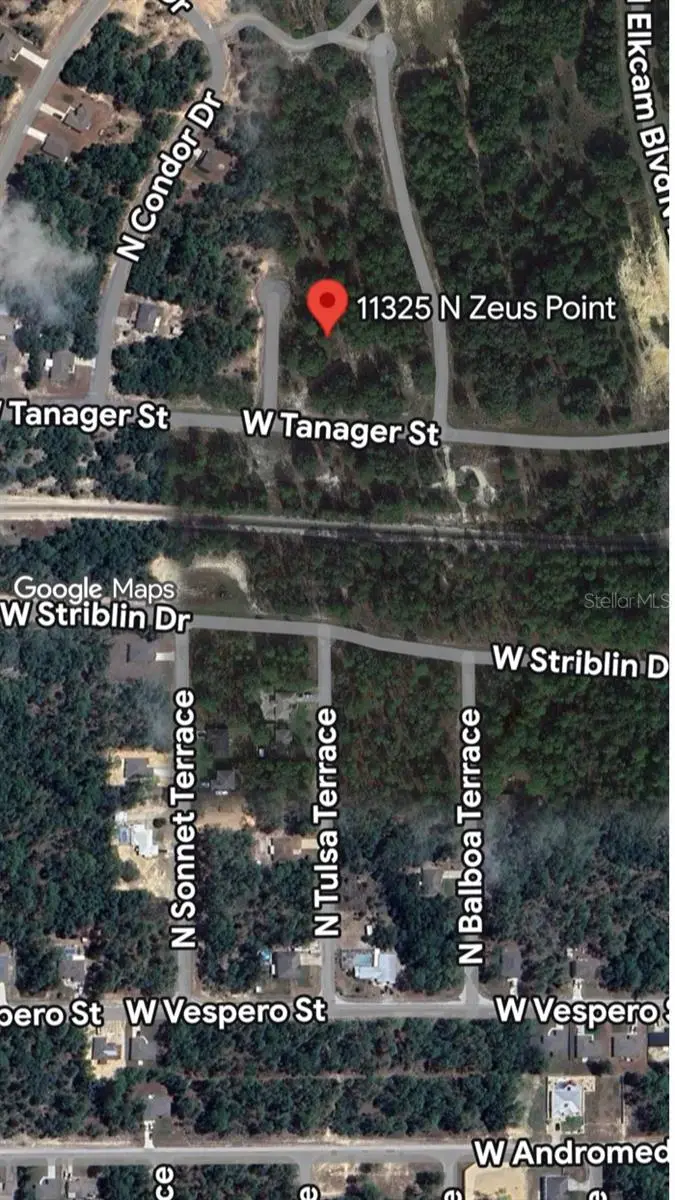 11325 N Zeus Pt, FL