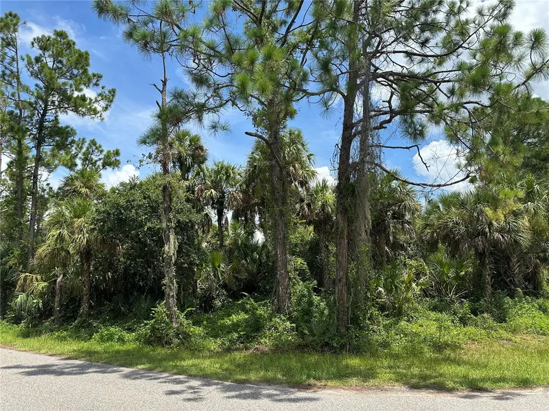 Nadell Rd, FL