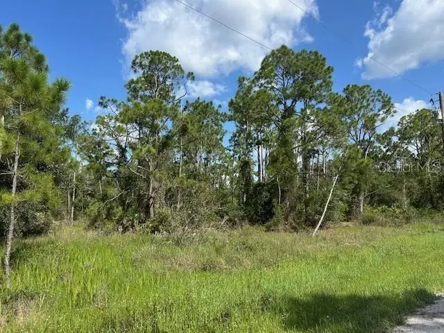 13042 Apache Dr, FL