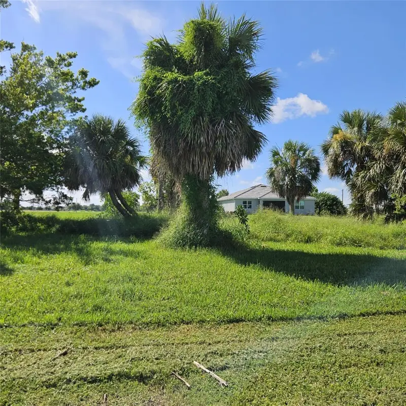 16258 Cape Horn Boulevard, FL
