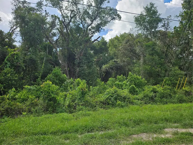 Us Highway 41, FL