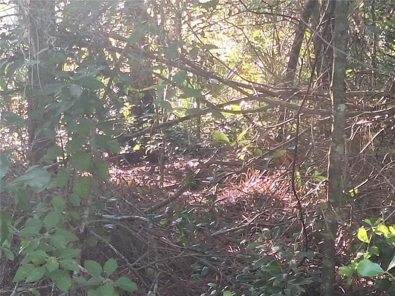 2743 Kingsdale Dr, FL