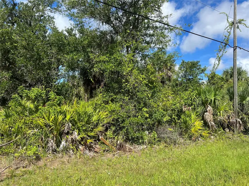 163 Hardee Way, FL