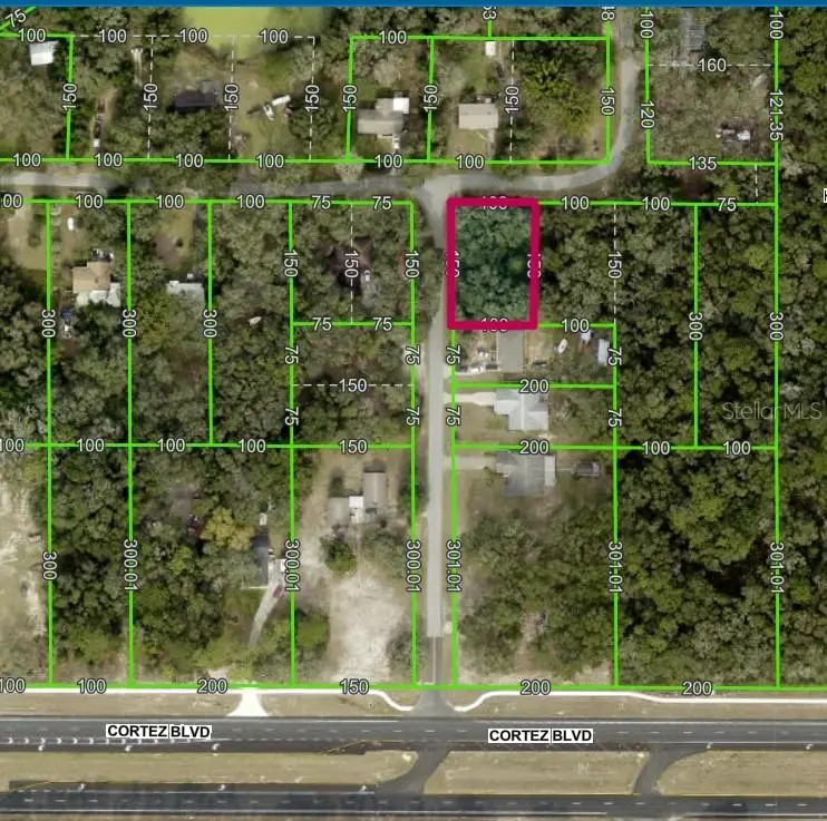 Lot 175c Madison Ave, FL