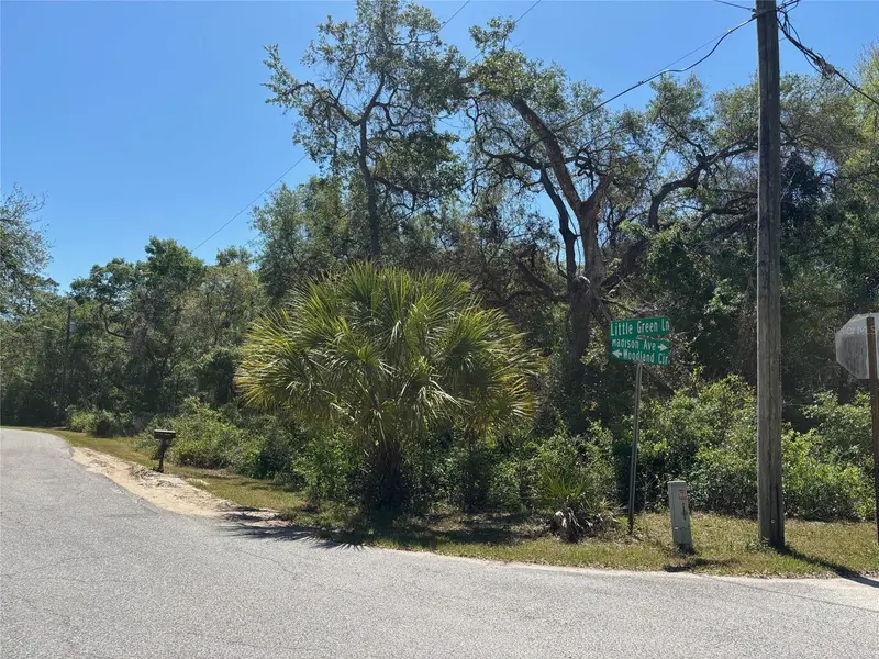 Lot 175c Madison Ave, FL