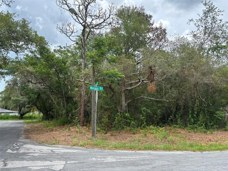 Lot W290 Navajo Trl, FL