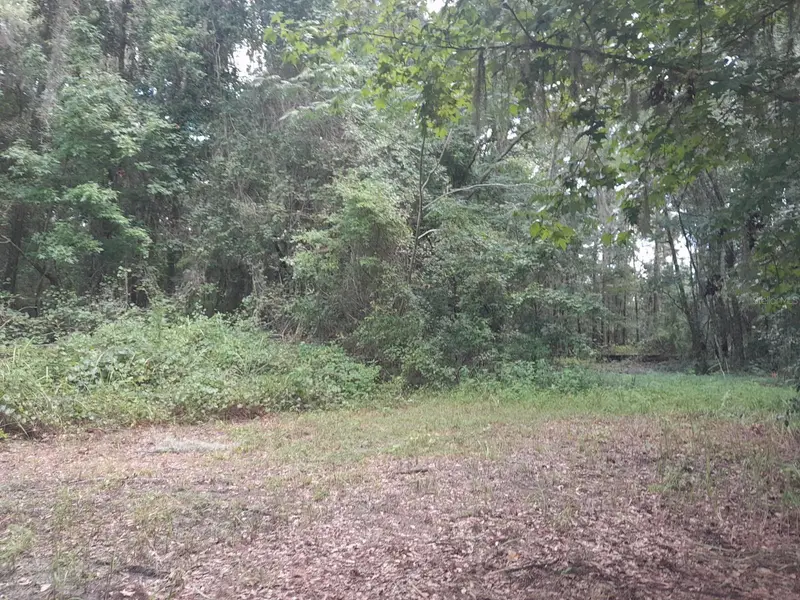 Tbd Nw 172nd Pl, FL