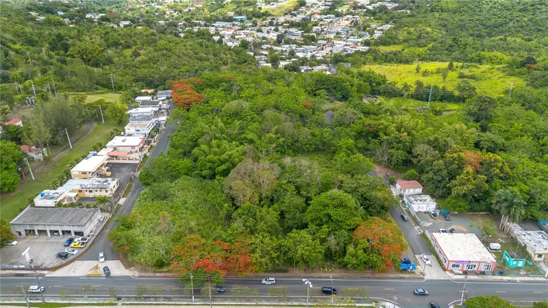 Carr 14 Km 71.2, PR