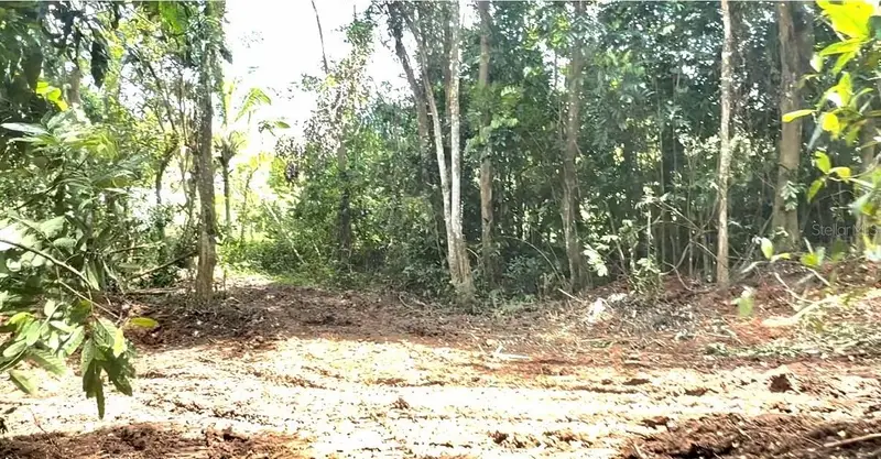 Sector Los LóPez, PR
