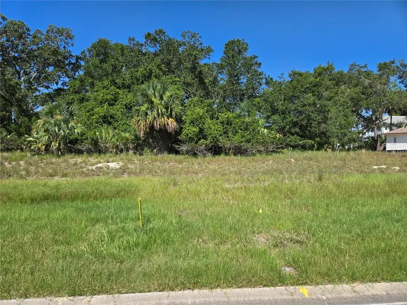 65 Old Oak Dr S, FL