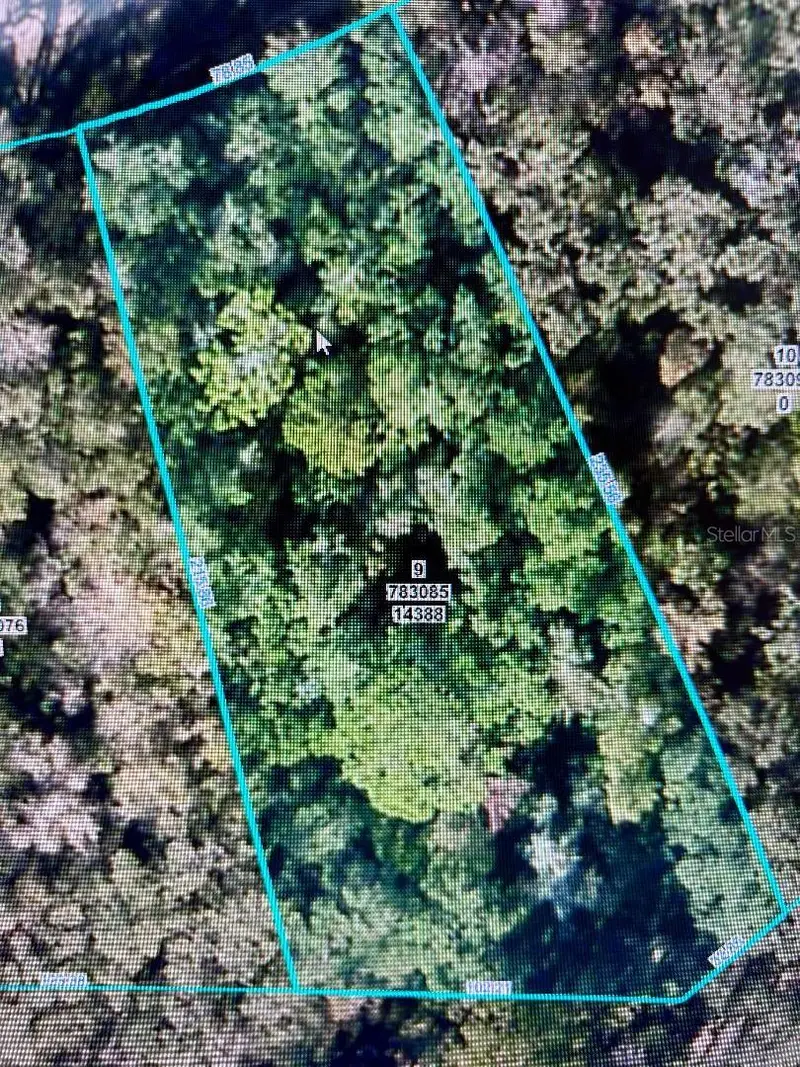 14388 Chimney Swift Rd, FL