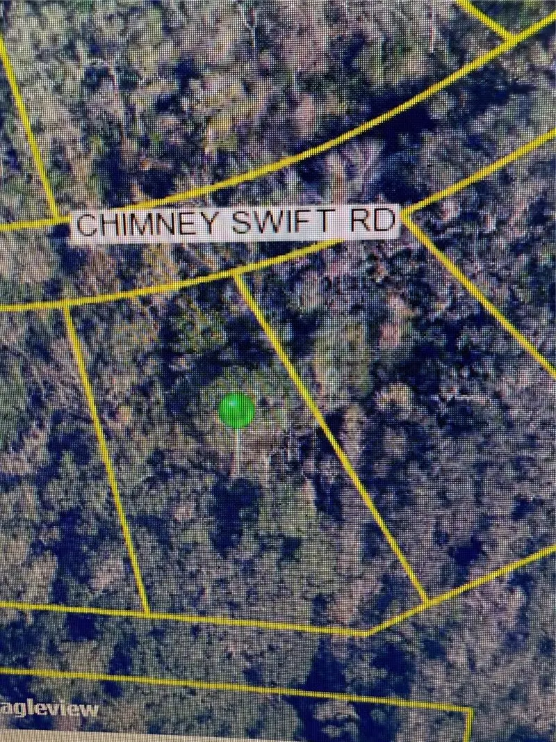 14388 Chimney Swift Rd, FL