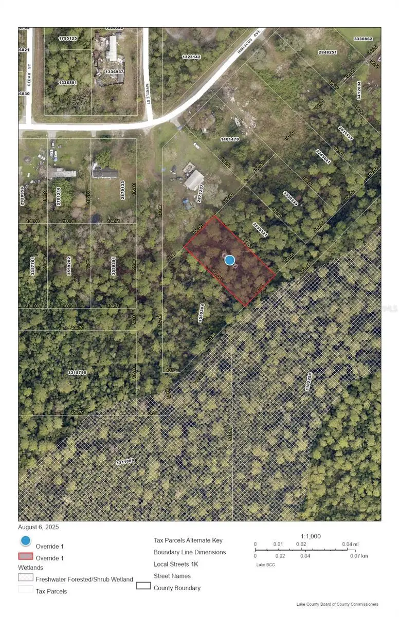 Raccoon St, FL