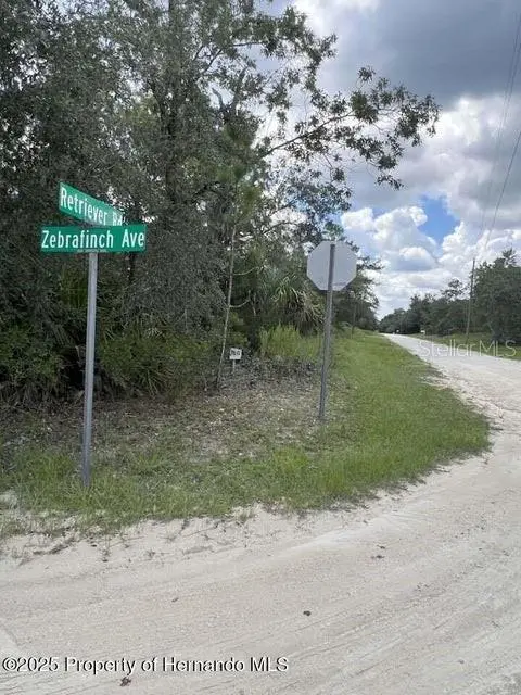 0 Zebrafinch Ave, FL