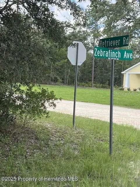 0 Zebrafinch Ave, FL