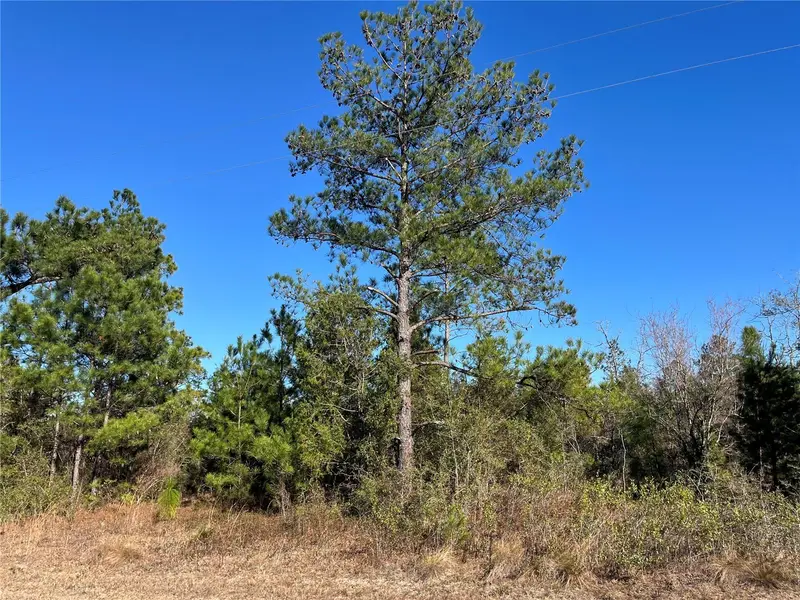 Fairview Rd, FL