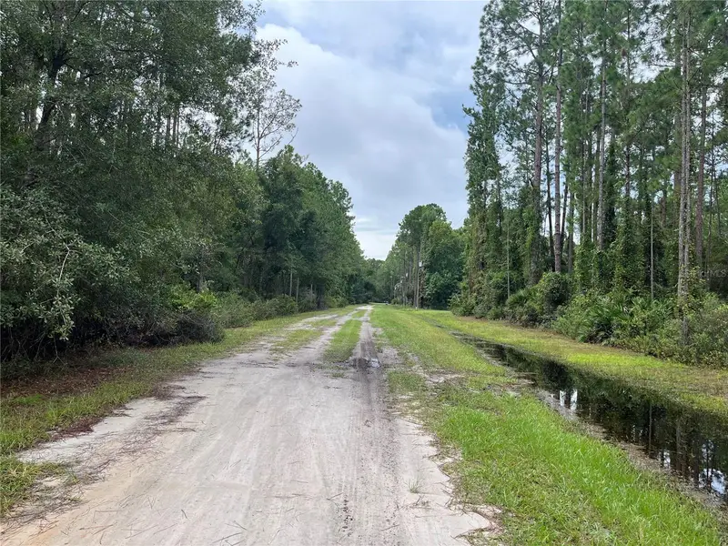 117 Mosswood St, FL