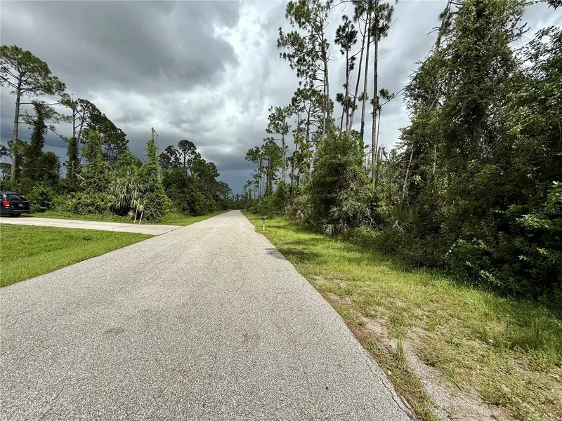 Dragonfly Ave, FL