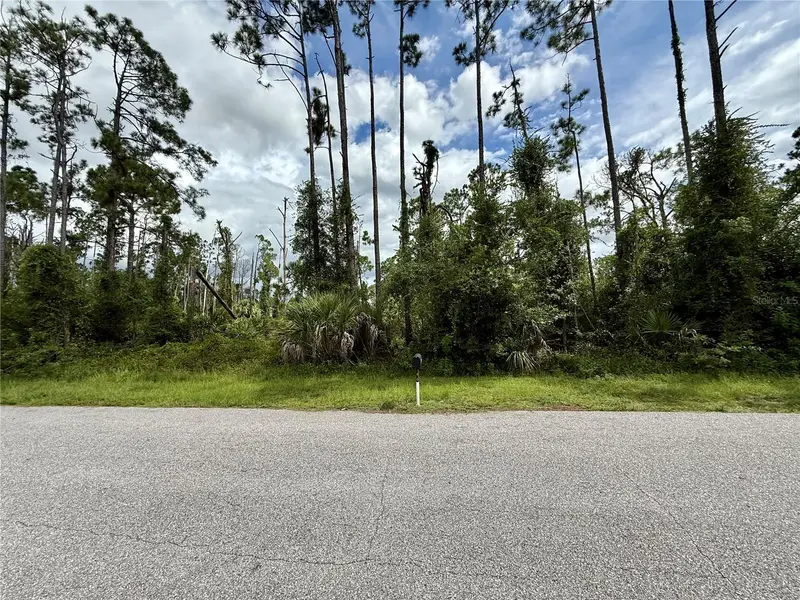 Dragonfly Ave, FL
