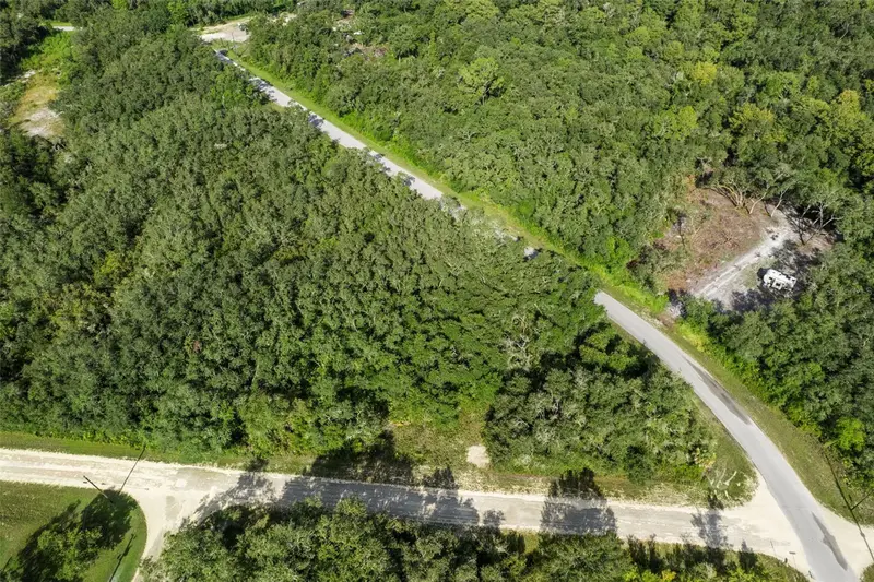 Bigelow Ave, FL