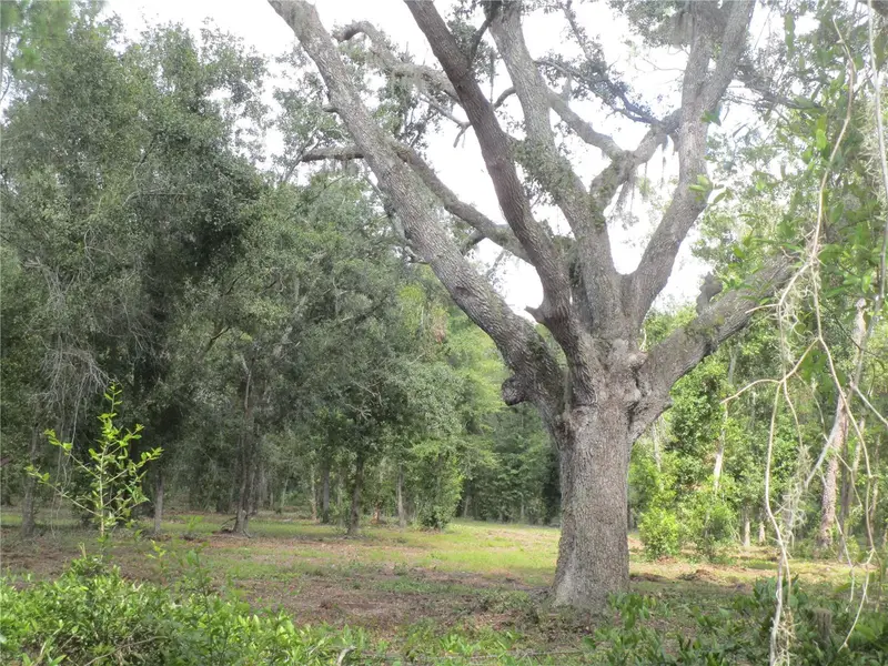 00 Castlewood Rd, FL