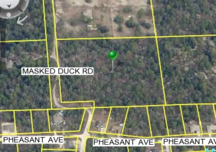 Masked Duck Rd, FL