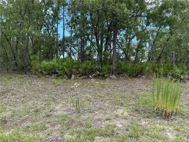 1195 W Hampshire Blvd, FL