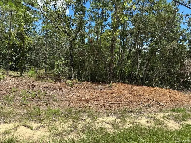 955 W Hampshire Blvd, FL