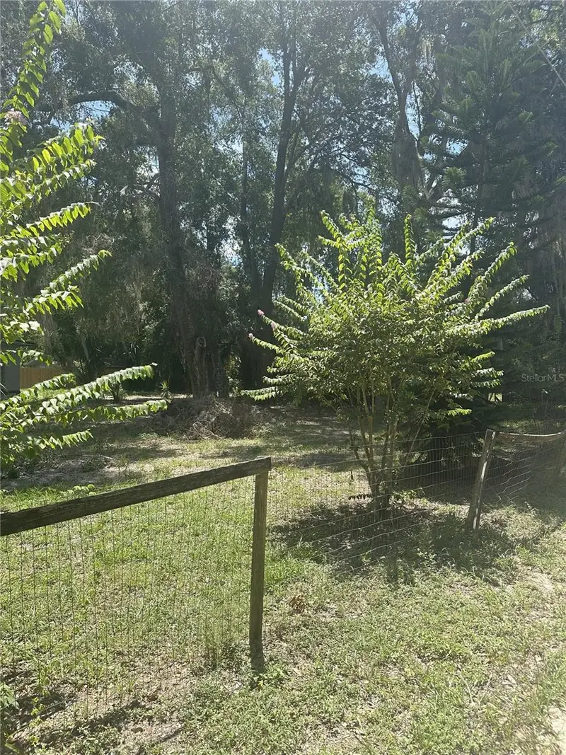 Fern Dr, FL