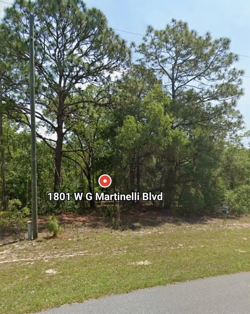 1801 W G Martinelli Blvd, FL