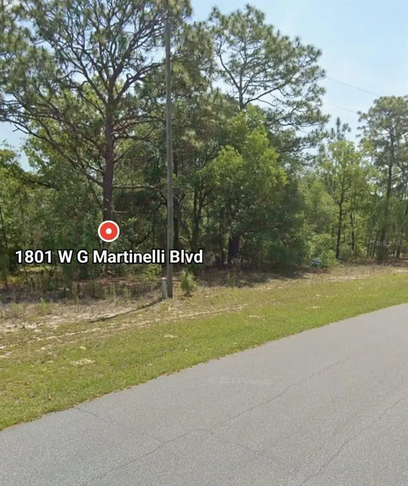 1801 W G Martinelli Blvd, FL