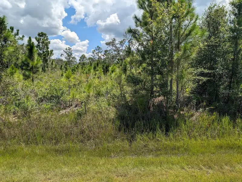 311 Hibiscus Dr, FL