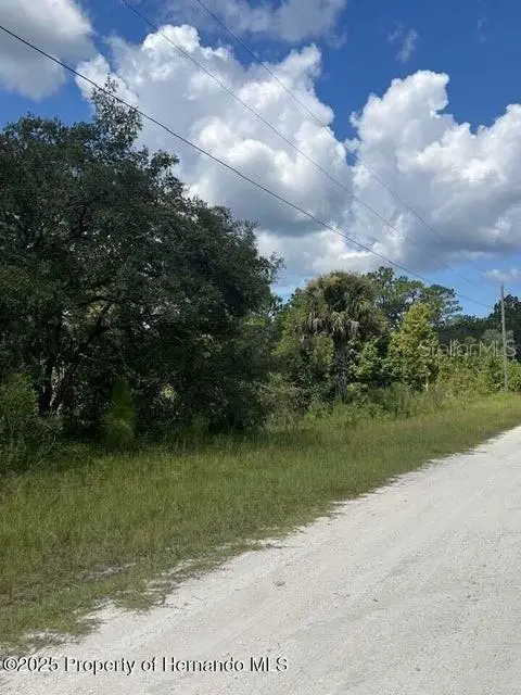 0 0 Yellow Frog Ave, FL