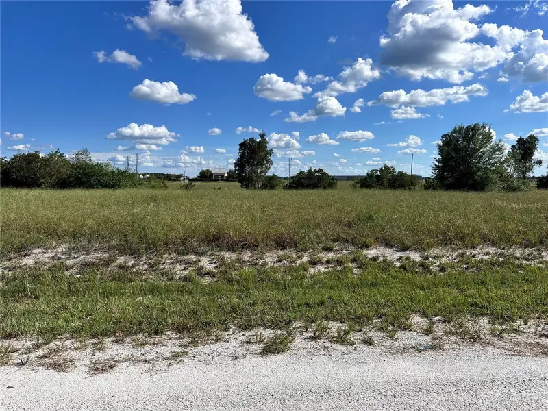 1669 W Fondulac Rd, FL