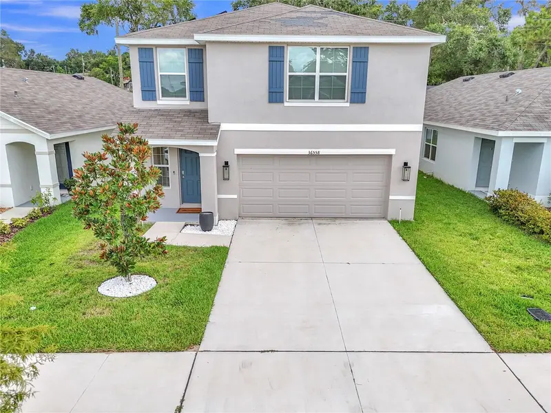 36558 Spanish Rose Dr, FL