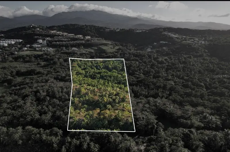 Pr-968 Km 2.2 Las Picuas, PR