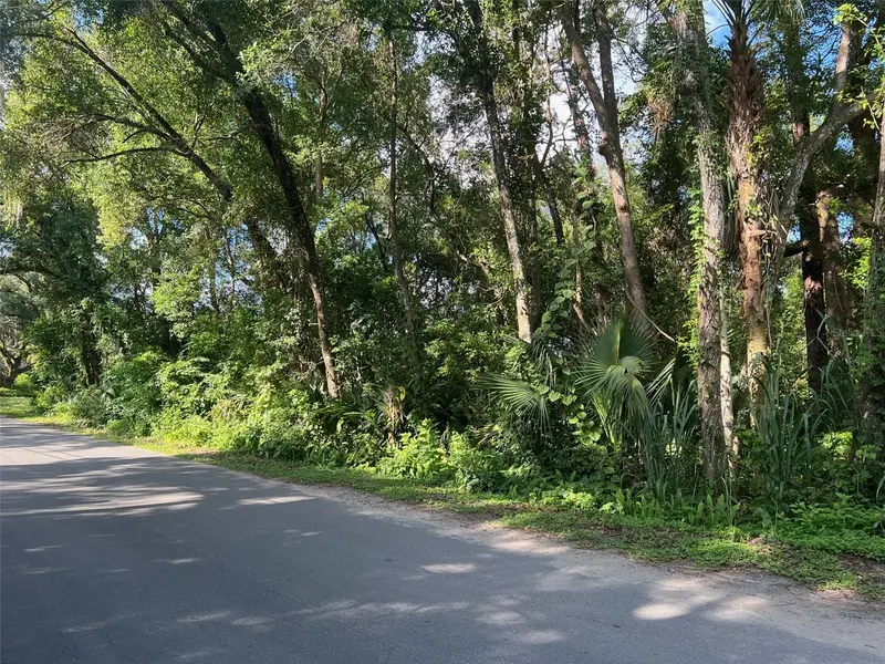 Par Ave, FL