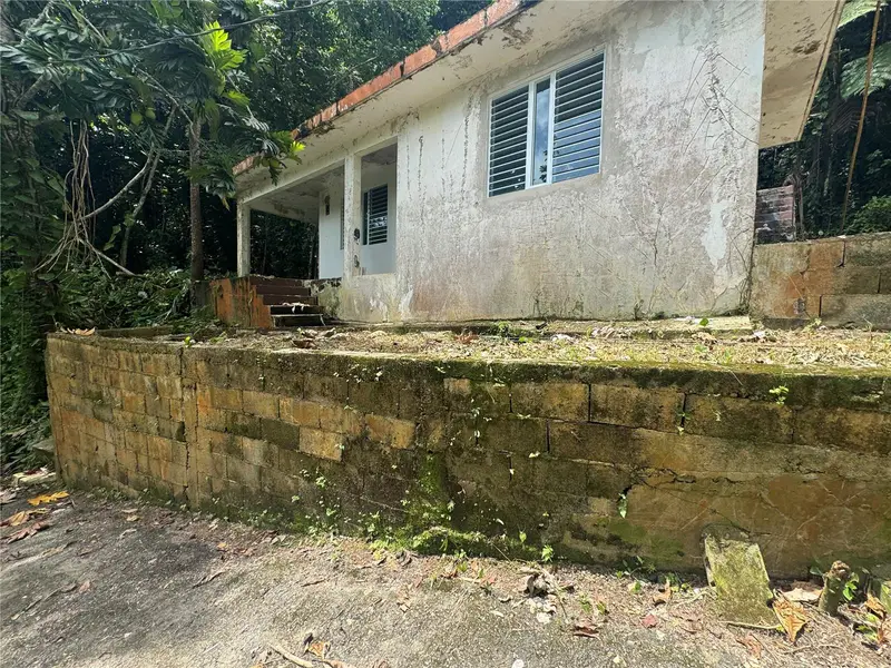 Carr 123 Km 64.5 Bo Caniaco, PR