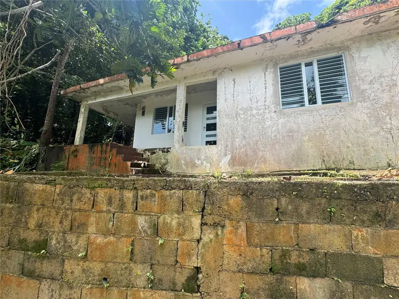 Carr 123 Km 64.5 Bo Caniaco, PR